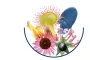 Instructions for use for METAGLOBIFLU Globules for colds, 10 g - 2