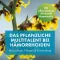 FAKTU lind haemorrhoid ointment, 25 g