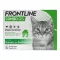 FRONTLINE Combo Spot on cat skin preparation, 6 pcs