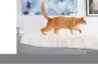 Instructions for use for FRONTLINE Combo Spot on cat skin preparation, 6 pcs - 4