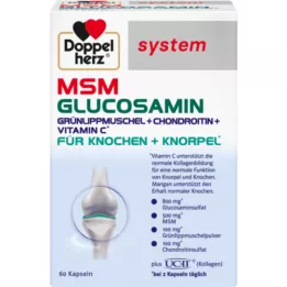 DOPPELHERZ MSM Glucosamine system capsules, 60 pcs