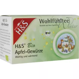 H&amp;S Winter Tea Organic Apple Spices Filter Bag, 20X2.0 g