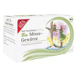 H&S Winter Tea Organic Mint Spices Filter Bag, 20X2.0 g