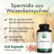 GREEN NATURALS Spermidine 1.6 mg vegan capsules, 240 pcs