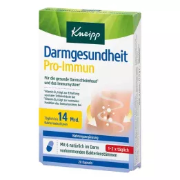 KNEIPP Intestinal Health Pro-Immune Capsules, 20 Capsules