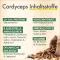GREEN NATURALS Cordyceps sinensis capsules, 180 pcs