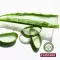 PLANTANA Aloe Vera Care Shower Bath with Organic Aloe Vera, 500 ml