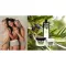 Plantana Olive body cream with vitamin E, 500 ml
