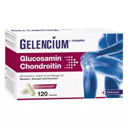 GELENCIUM Glucosamine Chondroitin high-dose Vit C Kps, 120 pcs